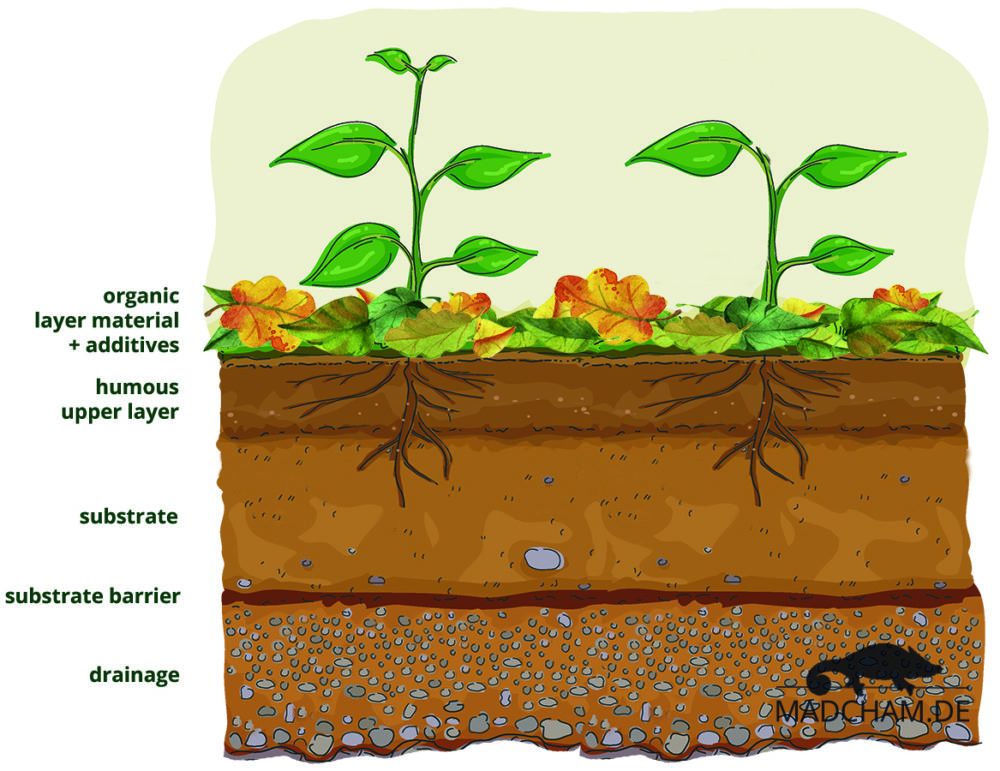 Bioactive substrate – Madcham.de